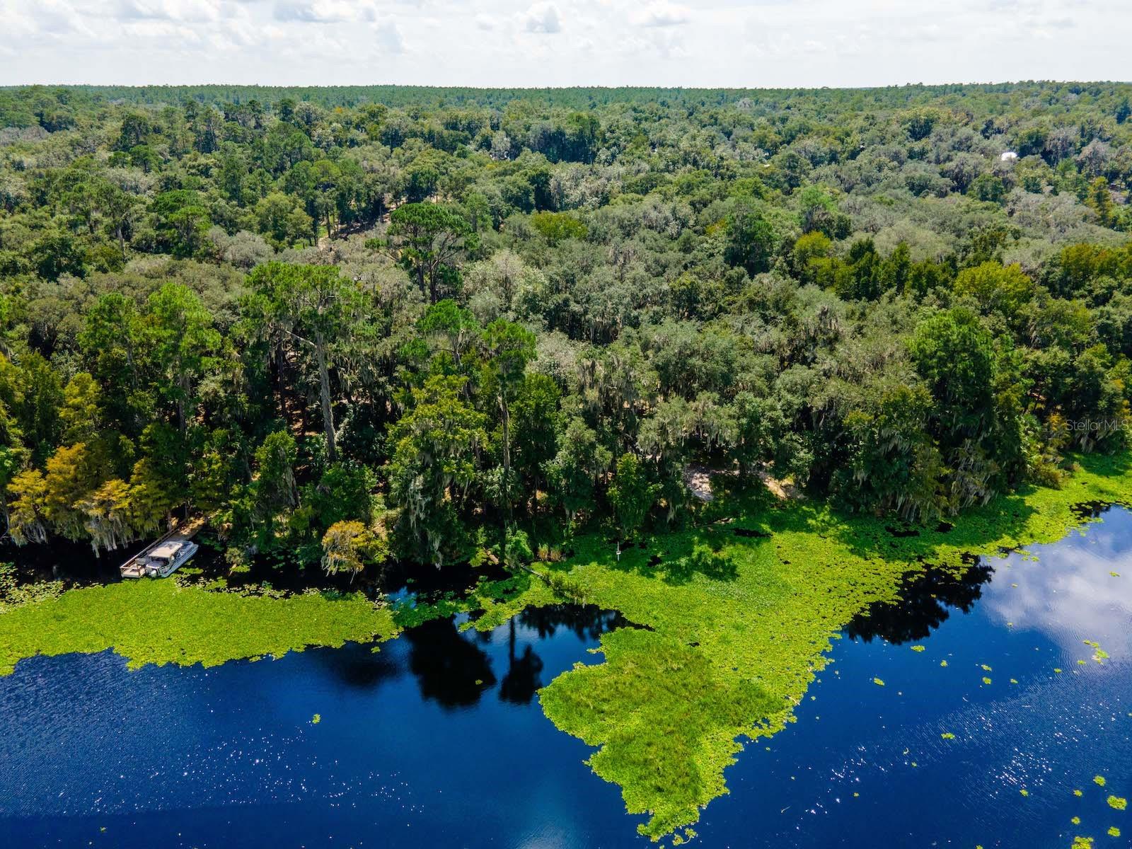 24750 NE 177TH TER, FORT MC COY, FL, 32134