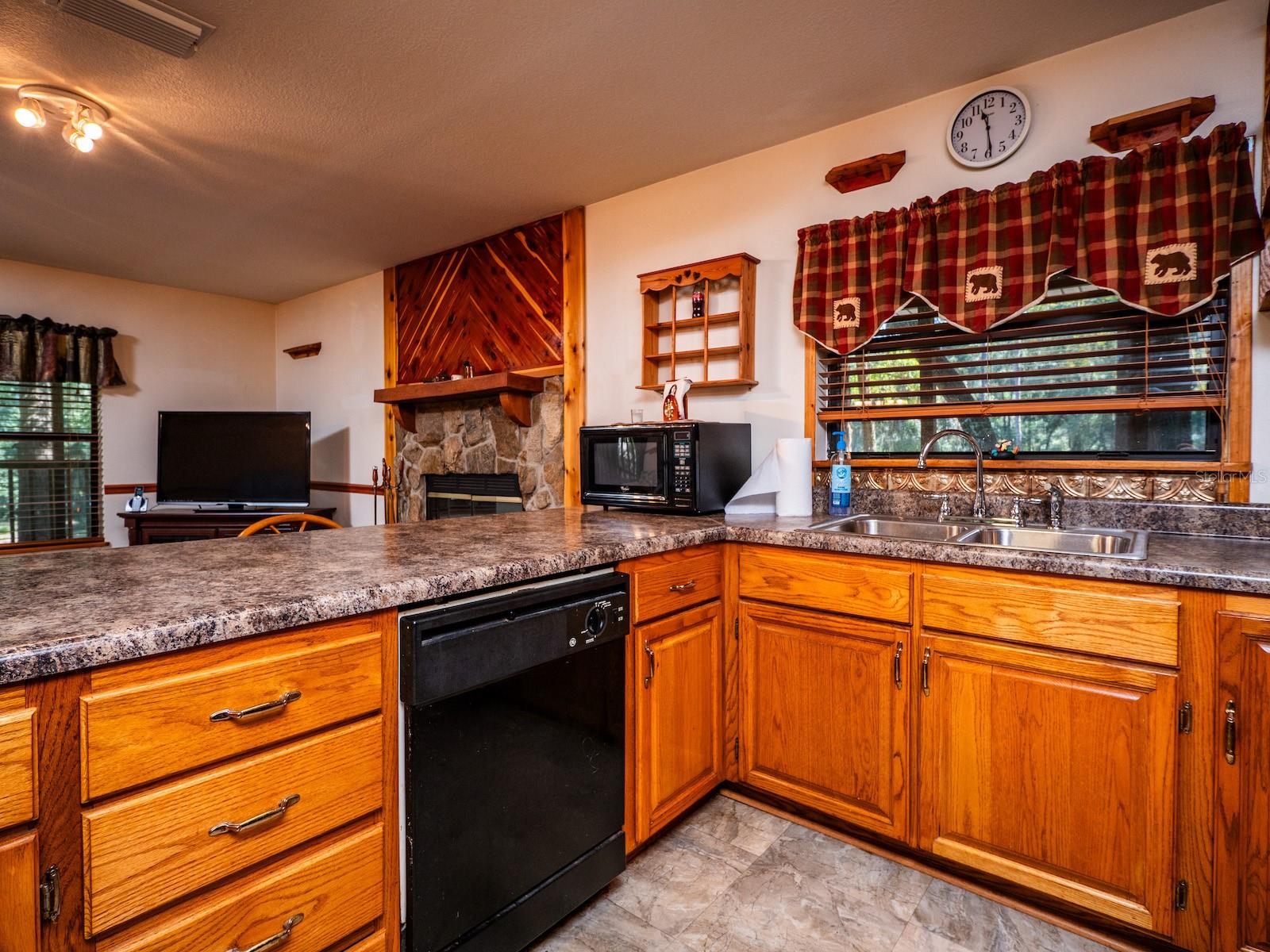 24750 NE 177TH TER, FORT MC COY, FL, 32134