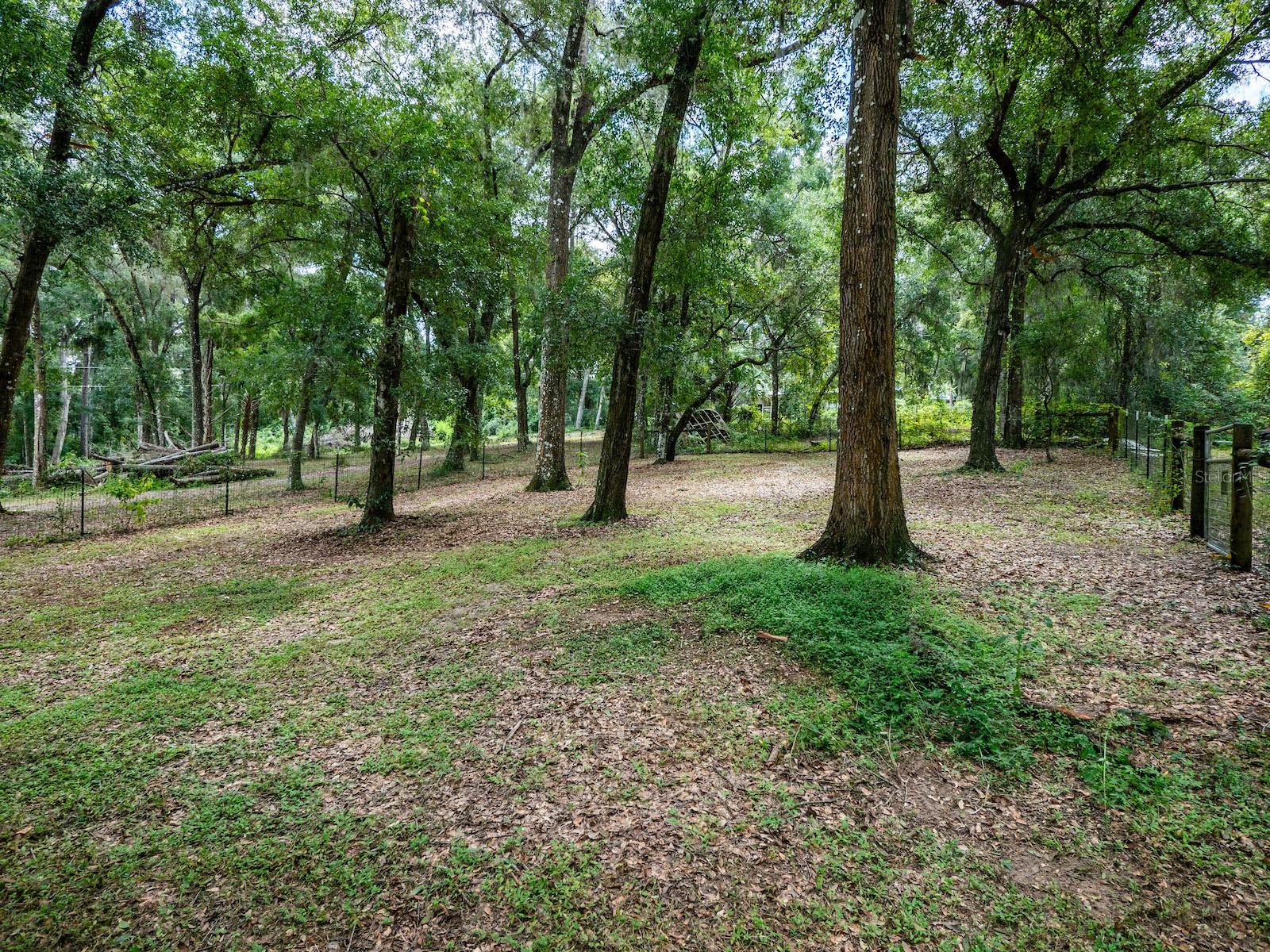 24750 NE 177TH TER, FORT MC COY, FL, 32134