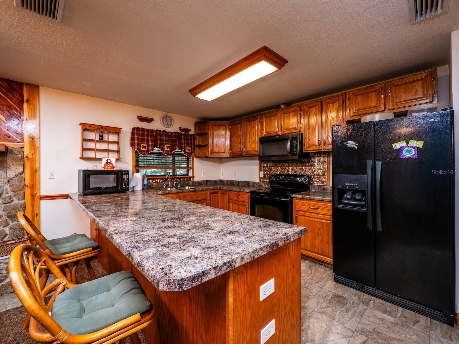 24750 NE 177TH TER, FORT MC COY, FL, 32134