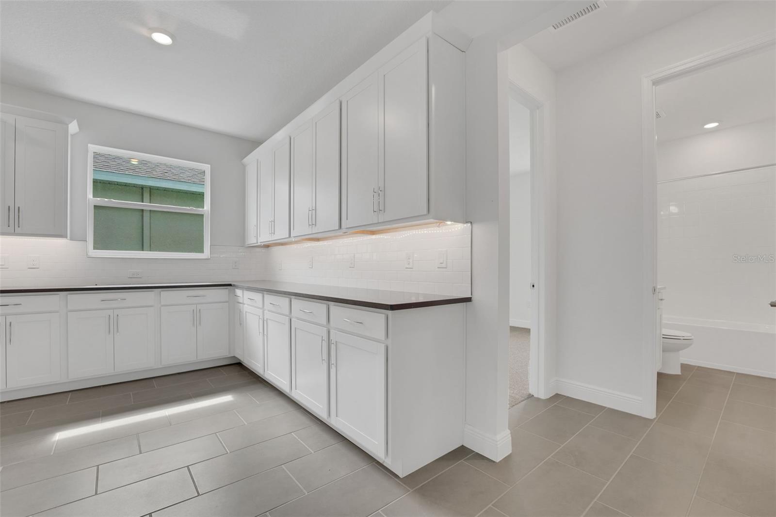 7438 SEA MANATEE ST, PARRISH, FL, 34219