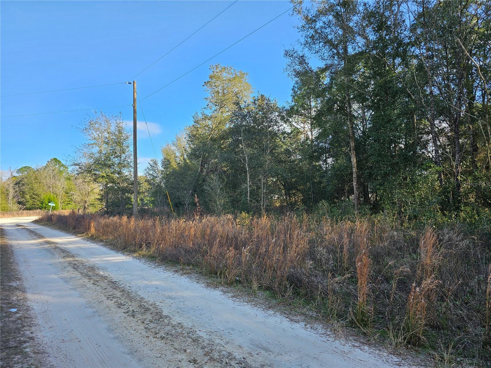 15100 SW 28TH LN, OCALA, FL, 34481