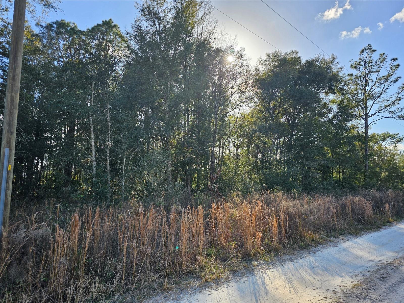 15100 SW 28TH LN, OCALA, FL, 34481