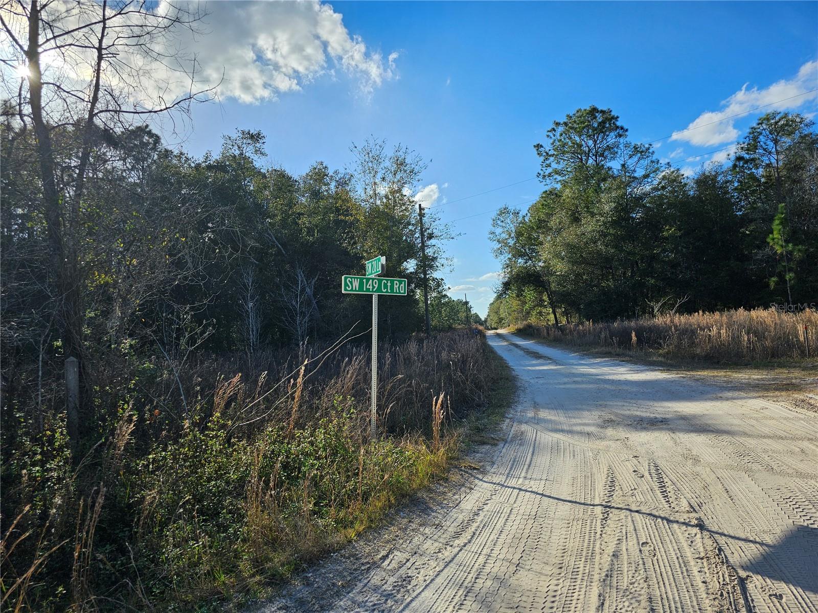 15100 SW 28TH LN, OCALA, FL, 34481