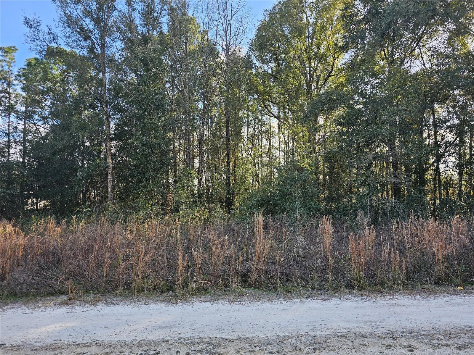 15100 SW 28TH LN, OCALA, FL, 34481