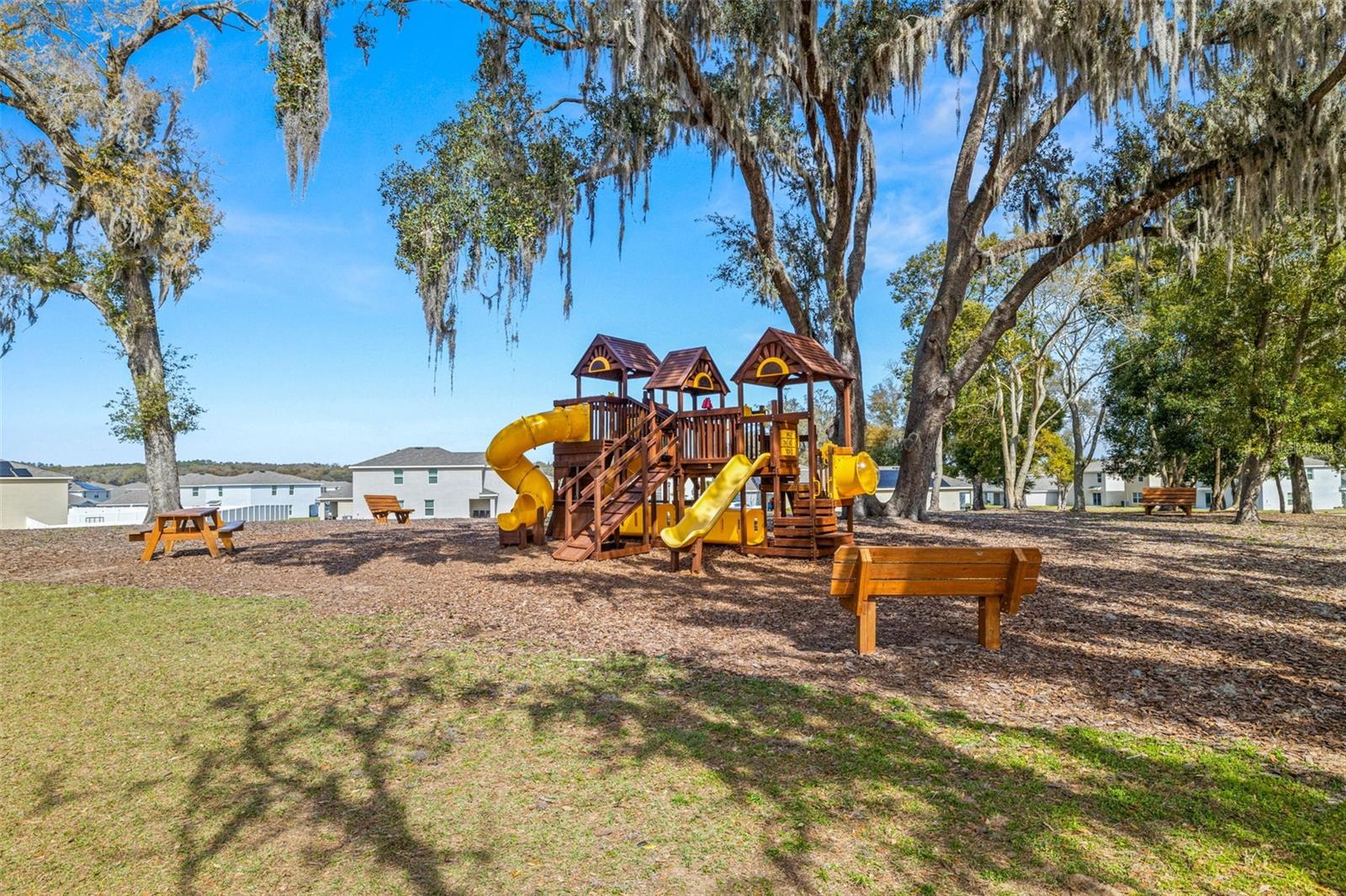 13862 WHISKEY DAISY DR, DADE CITY, FL, 33525