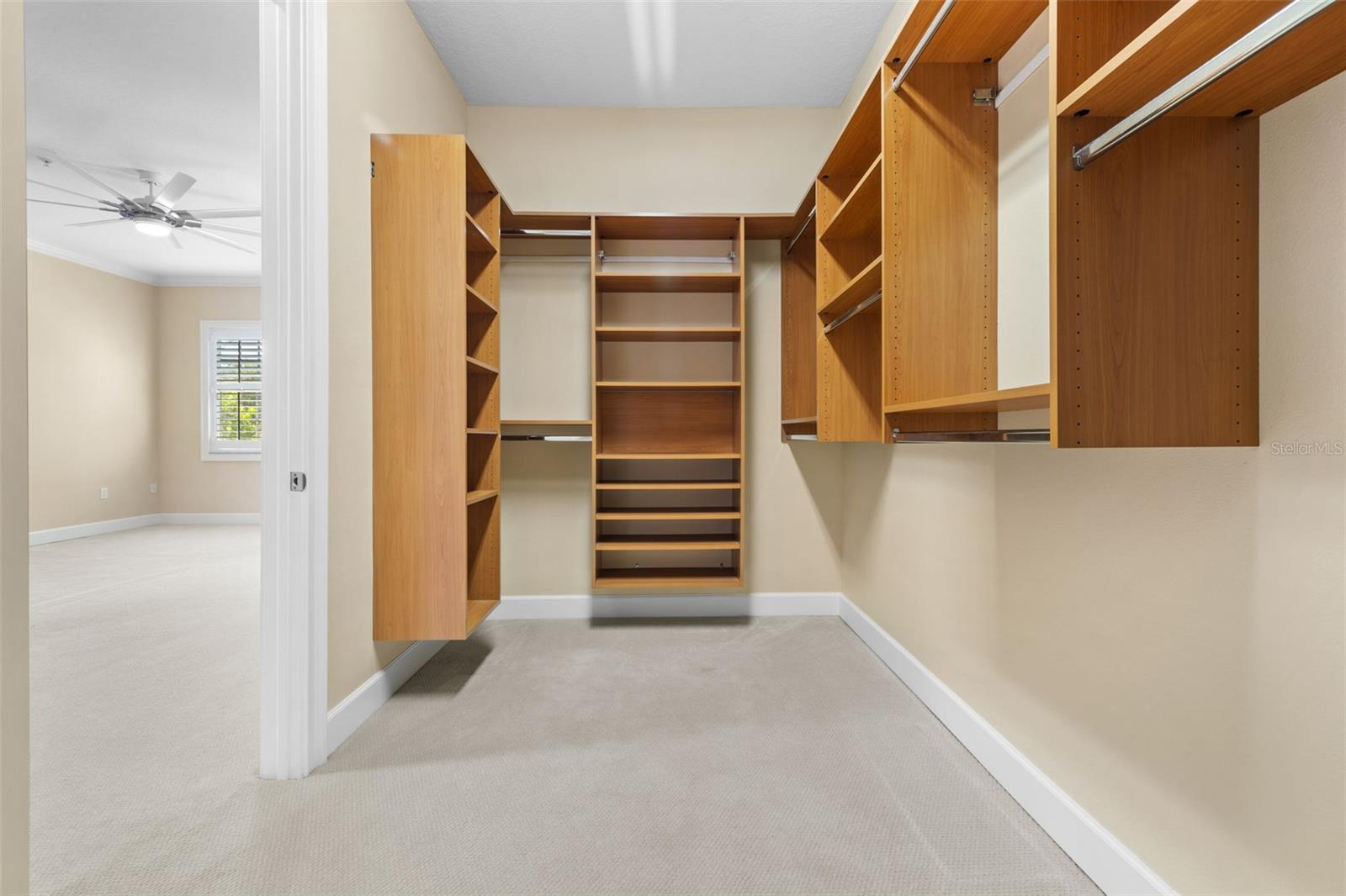 11516 BELLAMAR ST, TEMPLE TERRACE, FL, 33637