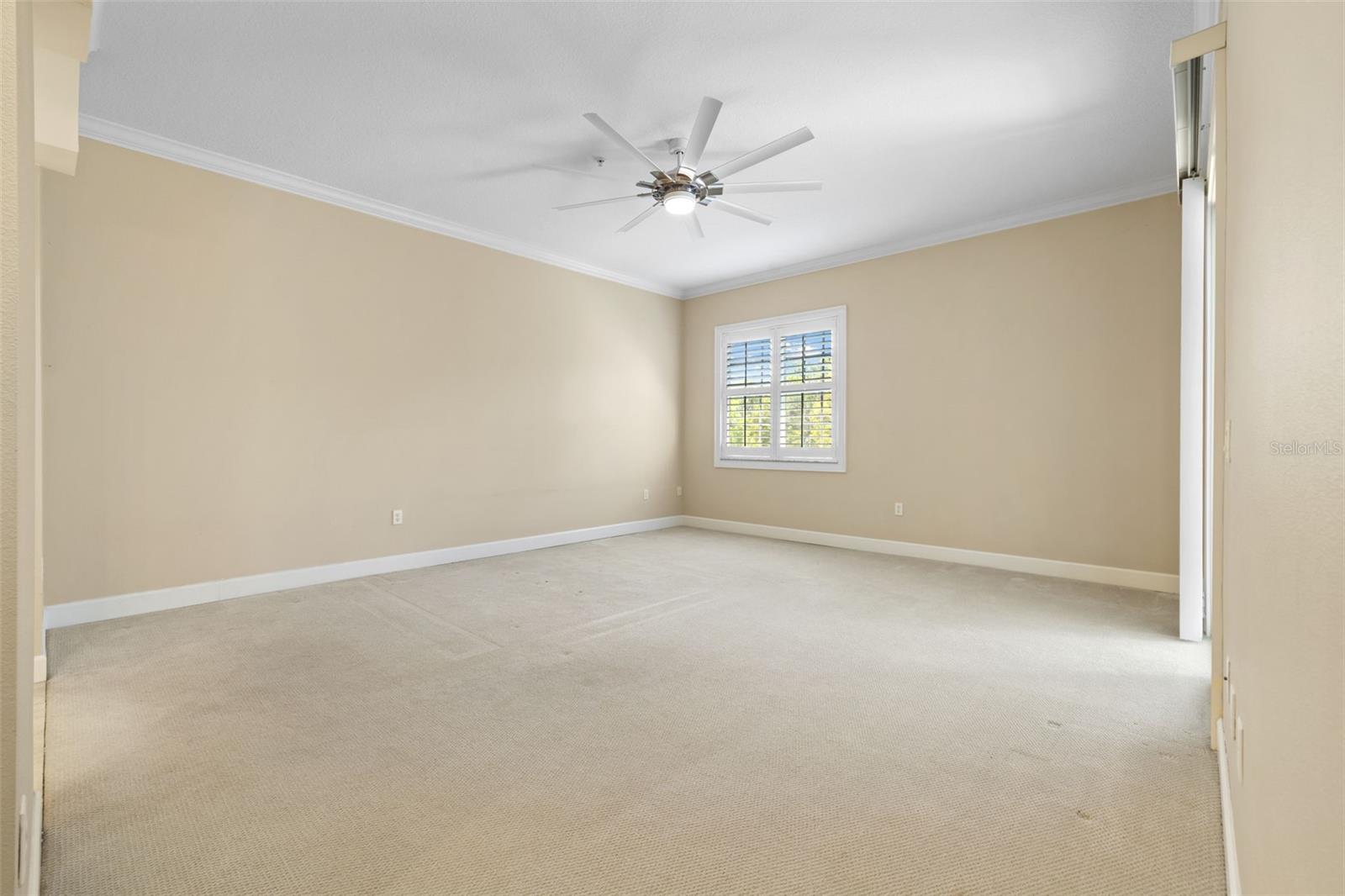 11516 BELLAMAR ST, TEMPLE TERRACE, FL, 33637