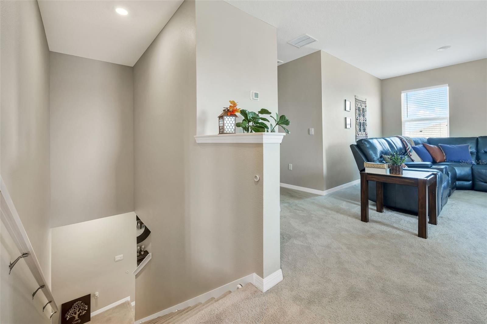 13055 WILLOW GROVE DR, RIVERVIEW, FL, 33579