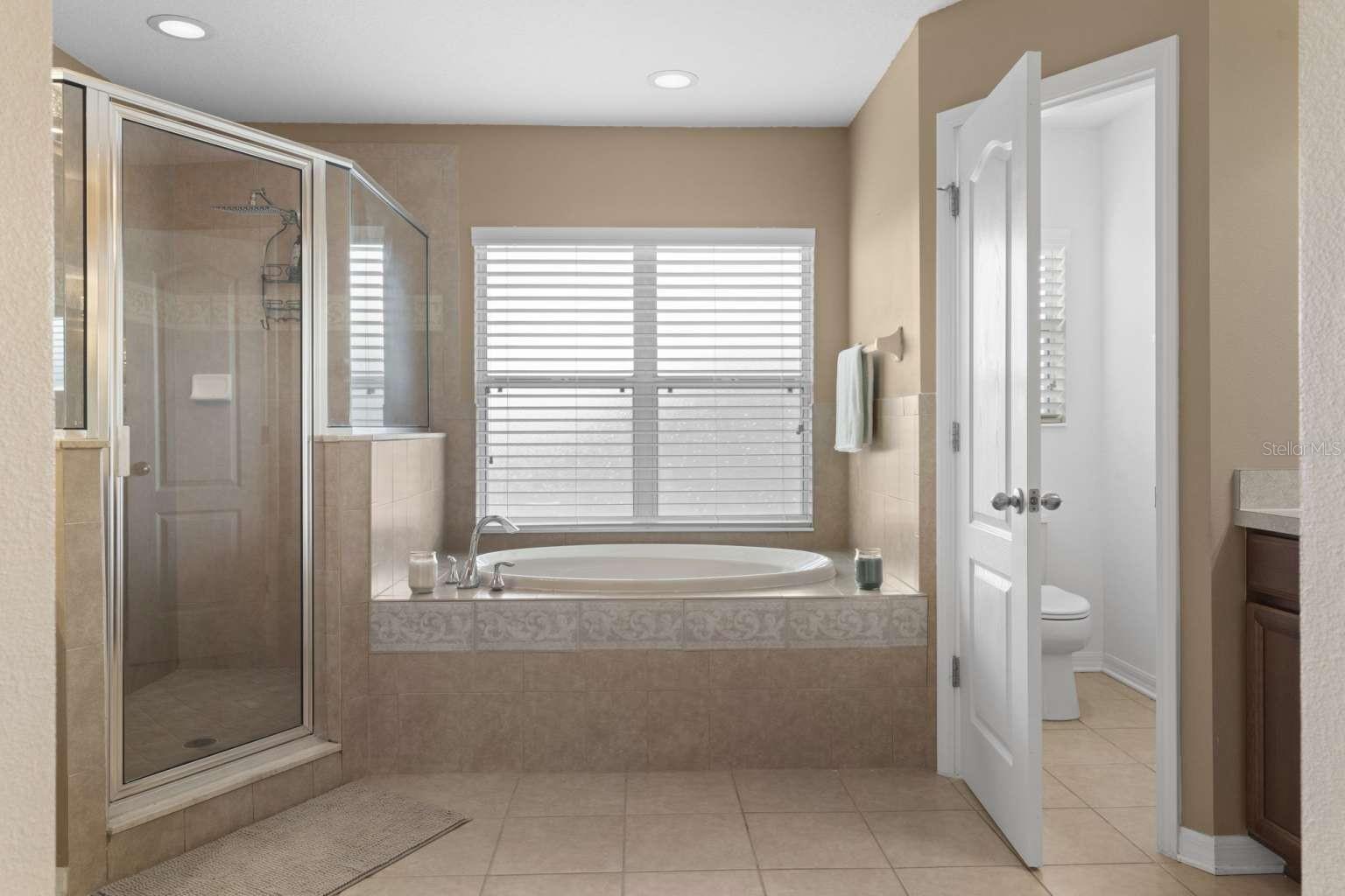 7127 FOREST MERE DR, RIVERVIEW, FL, 33578