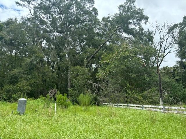 199 NW DAVIS CT, WHITE SPRINGS, FL, 32096