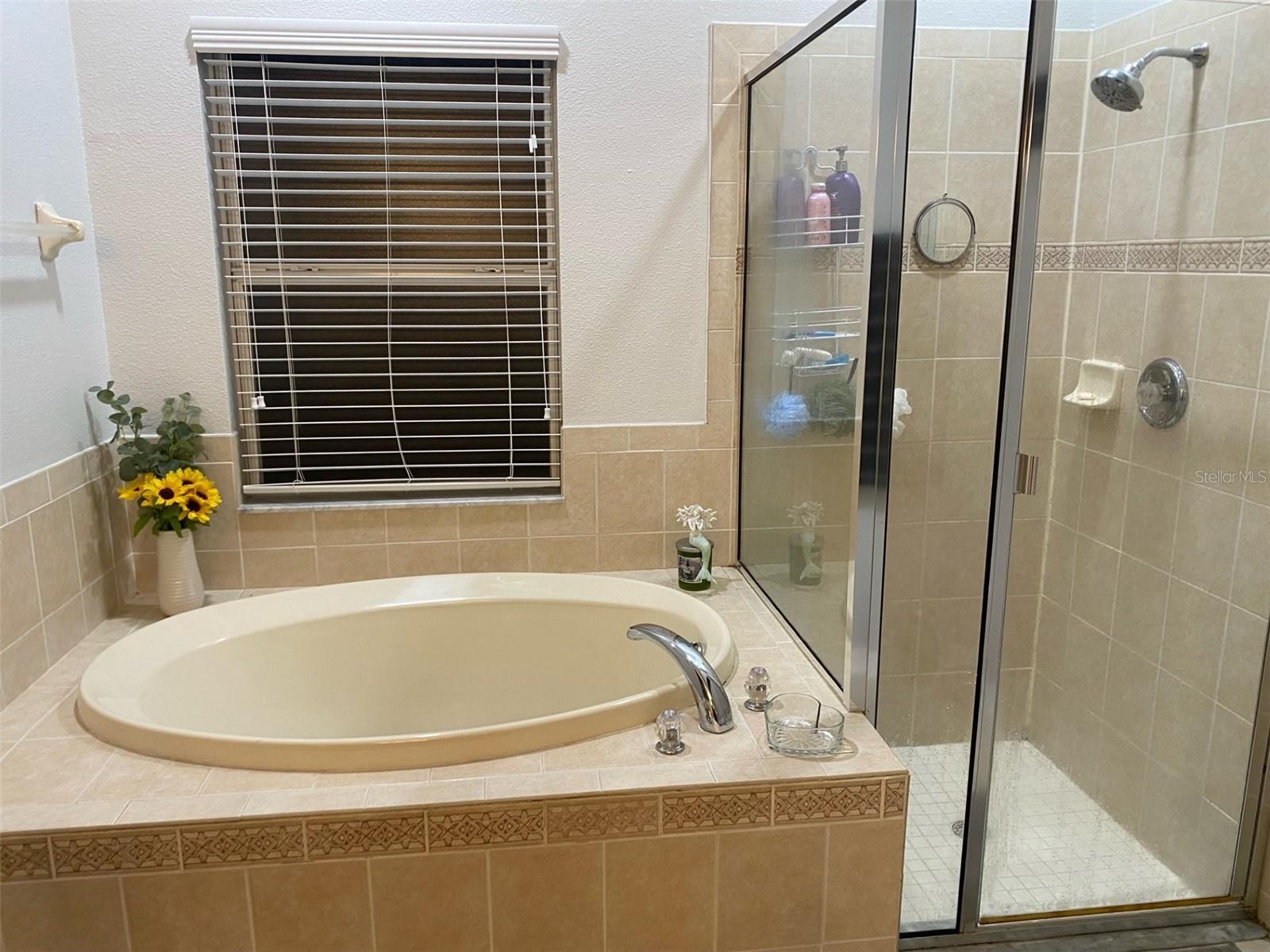 9840 JASMINE BROOK CIR, LAND O LAKES, FL, 34638