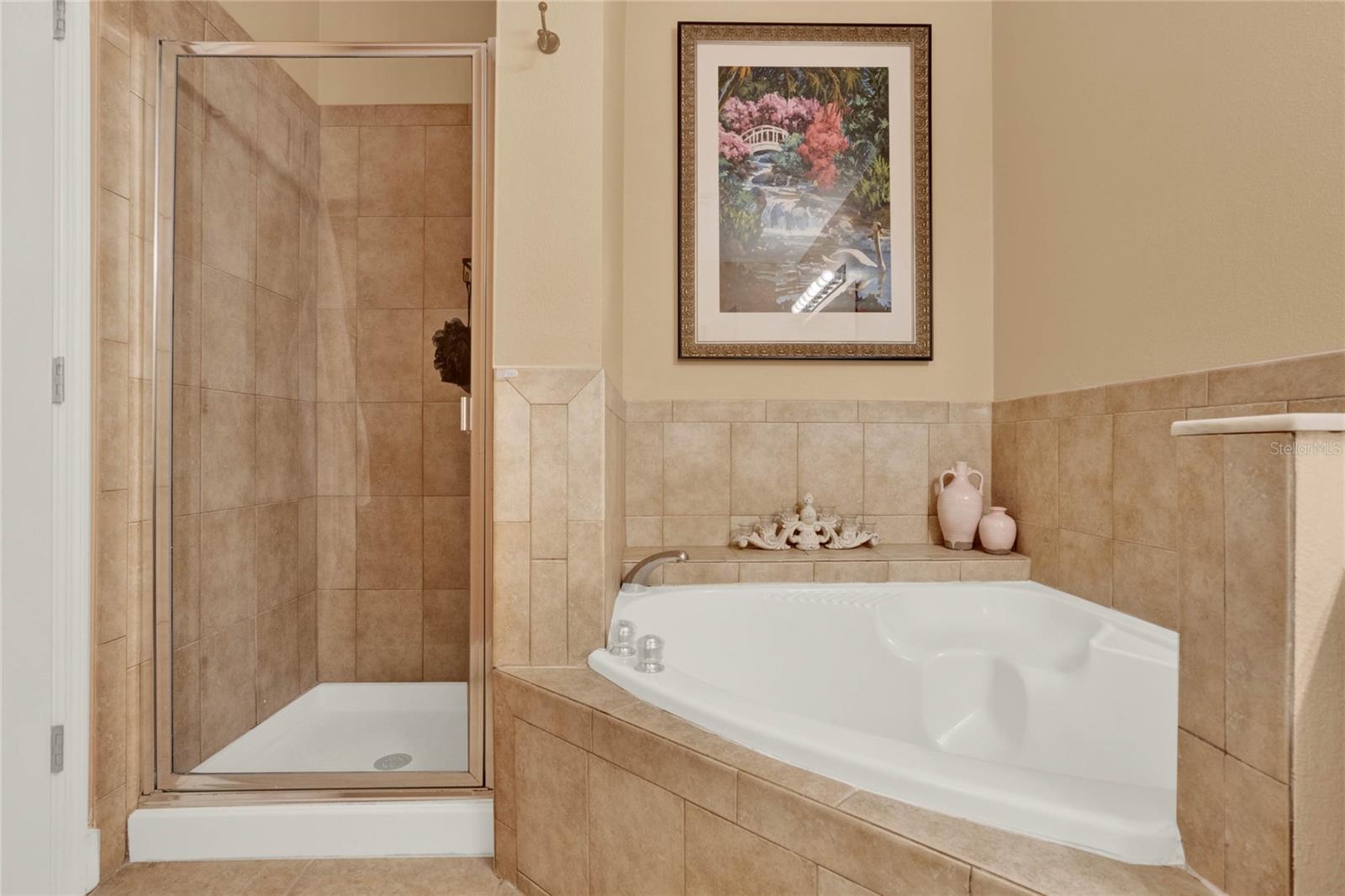 1220 IRONSMITH DR #101, CELEBRATION, FL, 34747