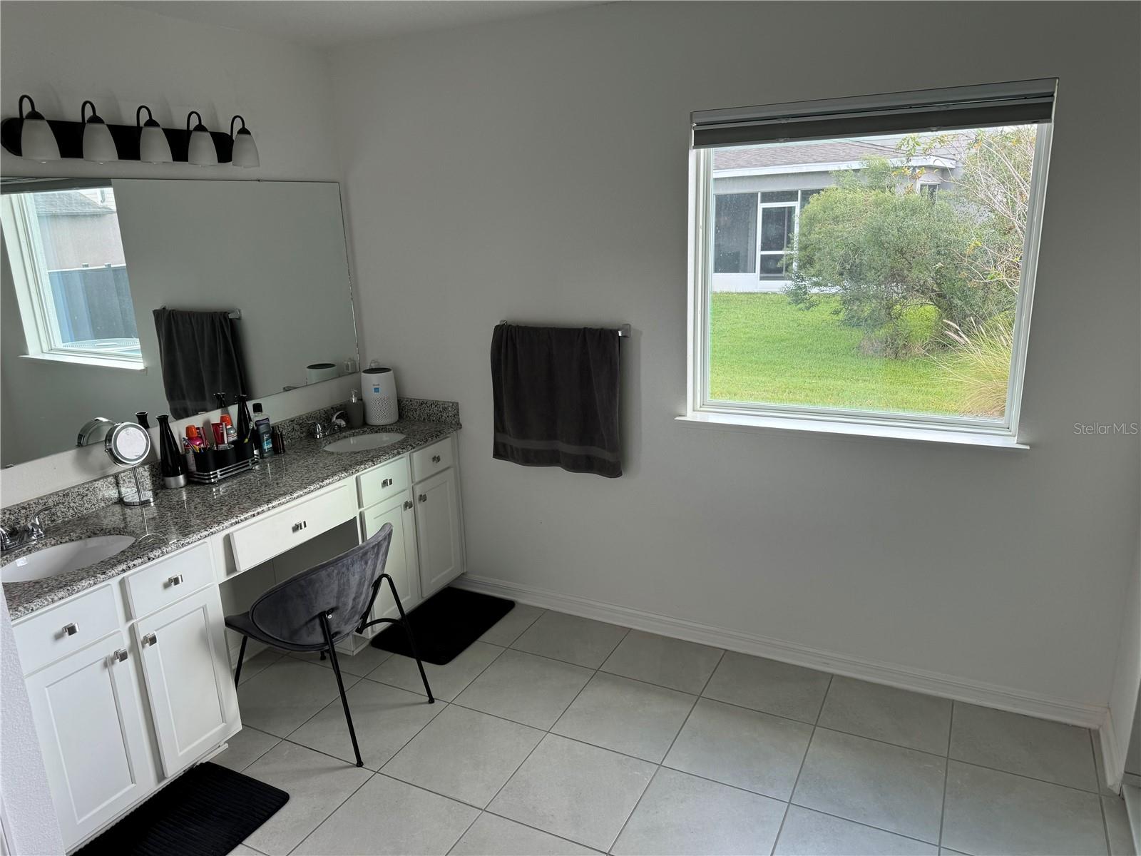 8325 OLIVE BROOK DR, WESLEY CHAPEL, FL, 33545