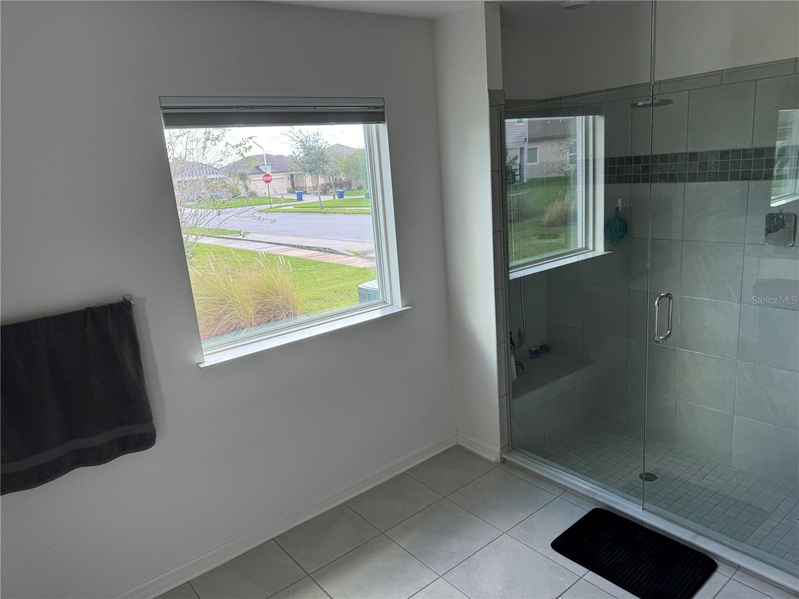 8325 OLIVE BROOK DR, WESLEY CHAPEL, FL, 33545