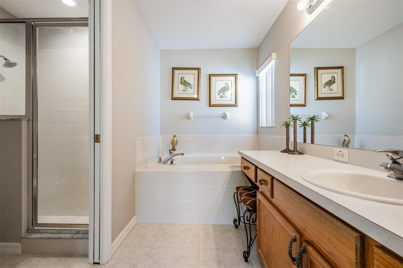 10534 COLLAR DR, SAN ANTONIO, FL, 33576