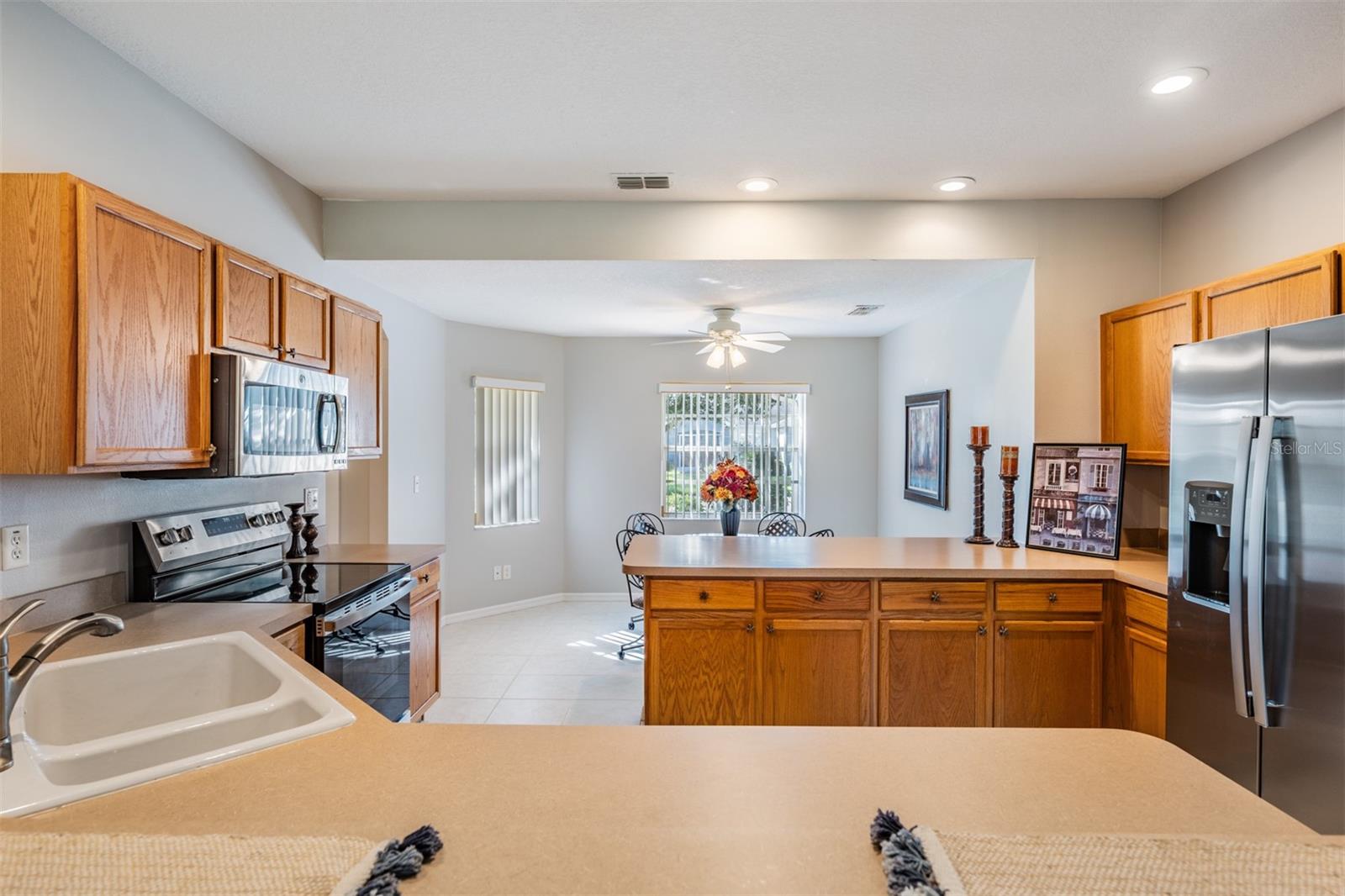 10534 COLLAR DR, SAN ANTONIO, FL, 33576