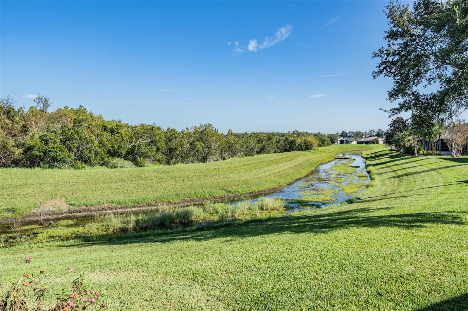 10534 COLLAR DR, SAN ANTONIO, FL, 33576