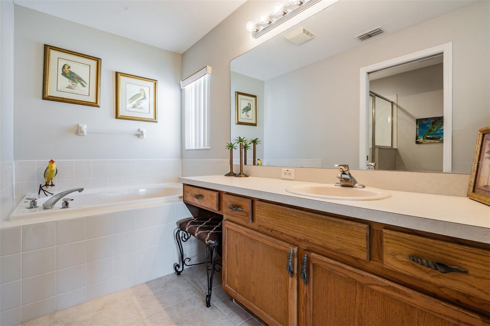 10534 COLLAR DR, SAN ANTONIO, FL, 33576