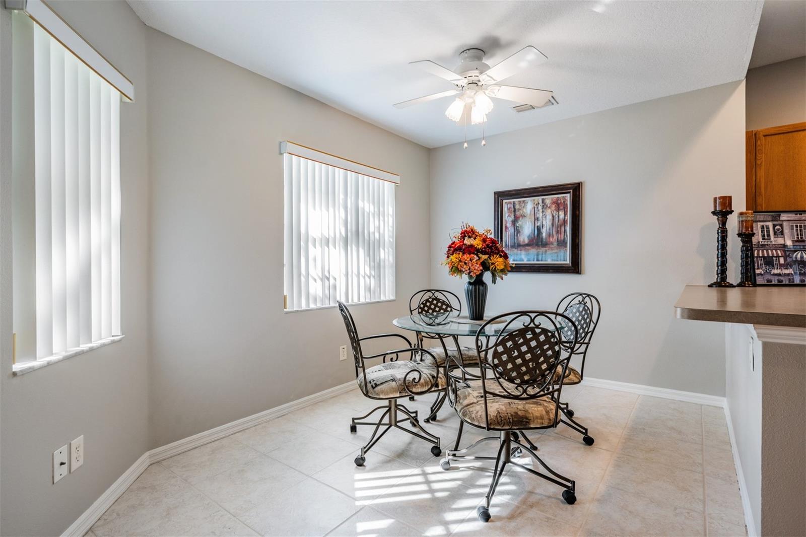 10534 COLLAR DR, SAN ANTONIO, FL, 33576