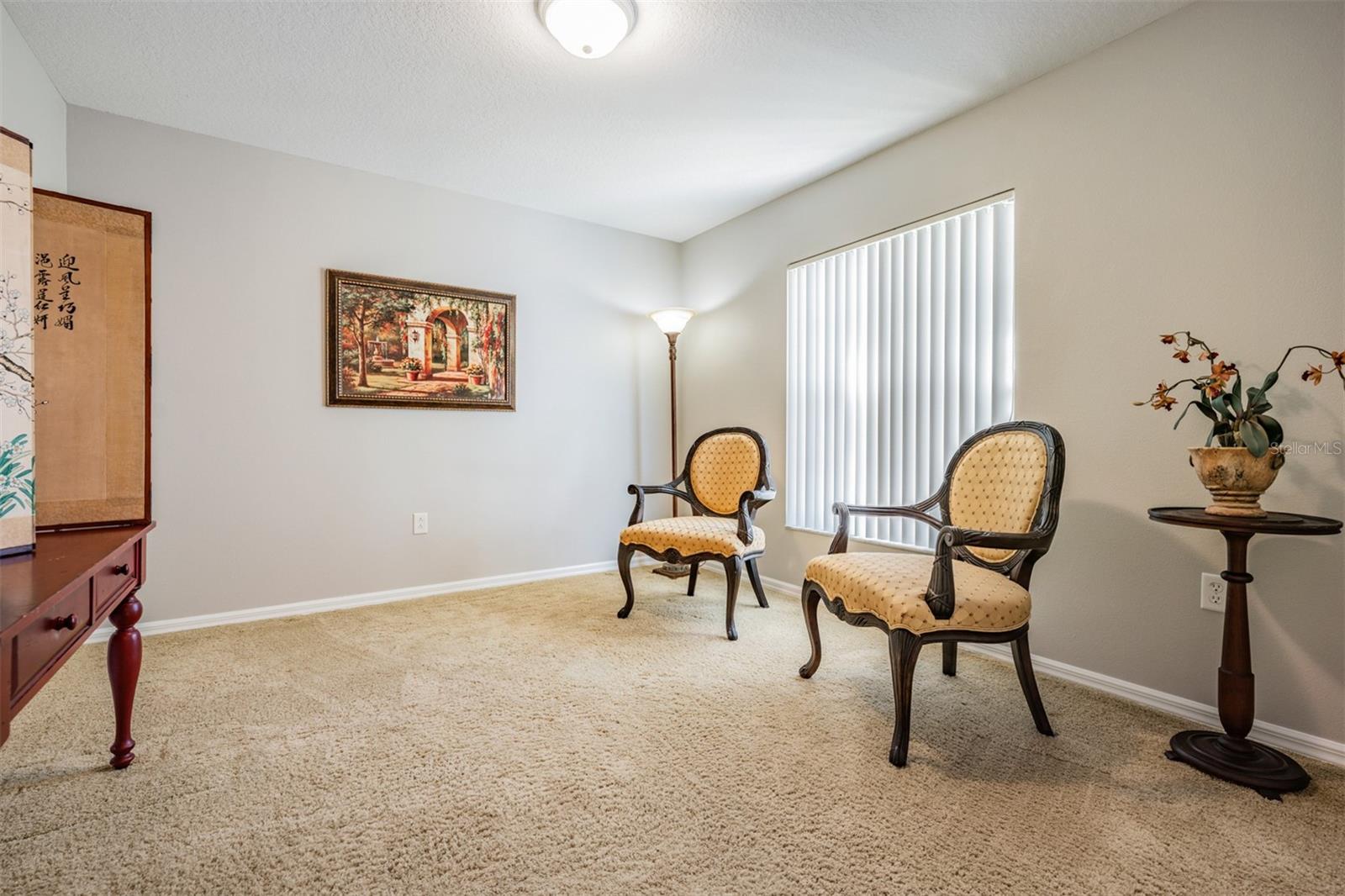 10534 COLLAR DR, SAN ANTONIO, FL, 33576