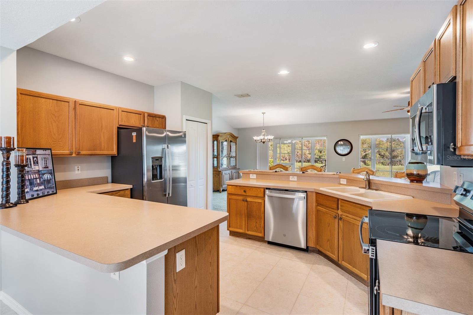 10534 COLLAR DR, SAN ANTONIO, FL, 33576