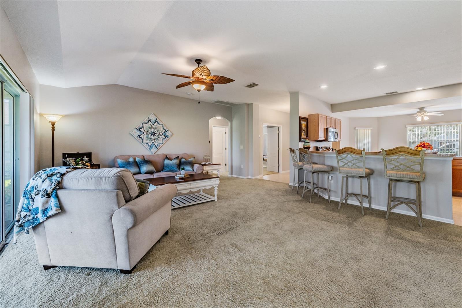 10534 COLLAR DR, SAN ANTONIO, FL, 33576