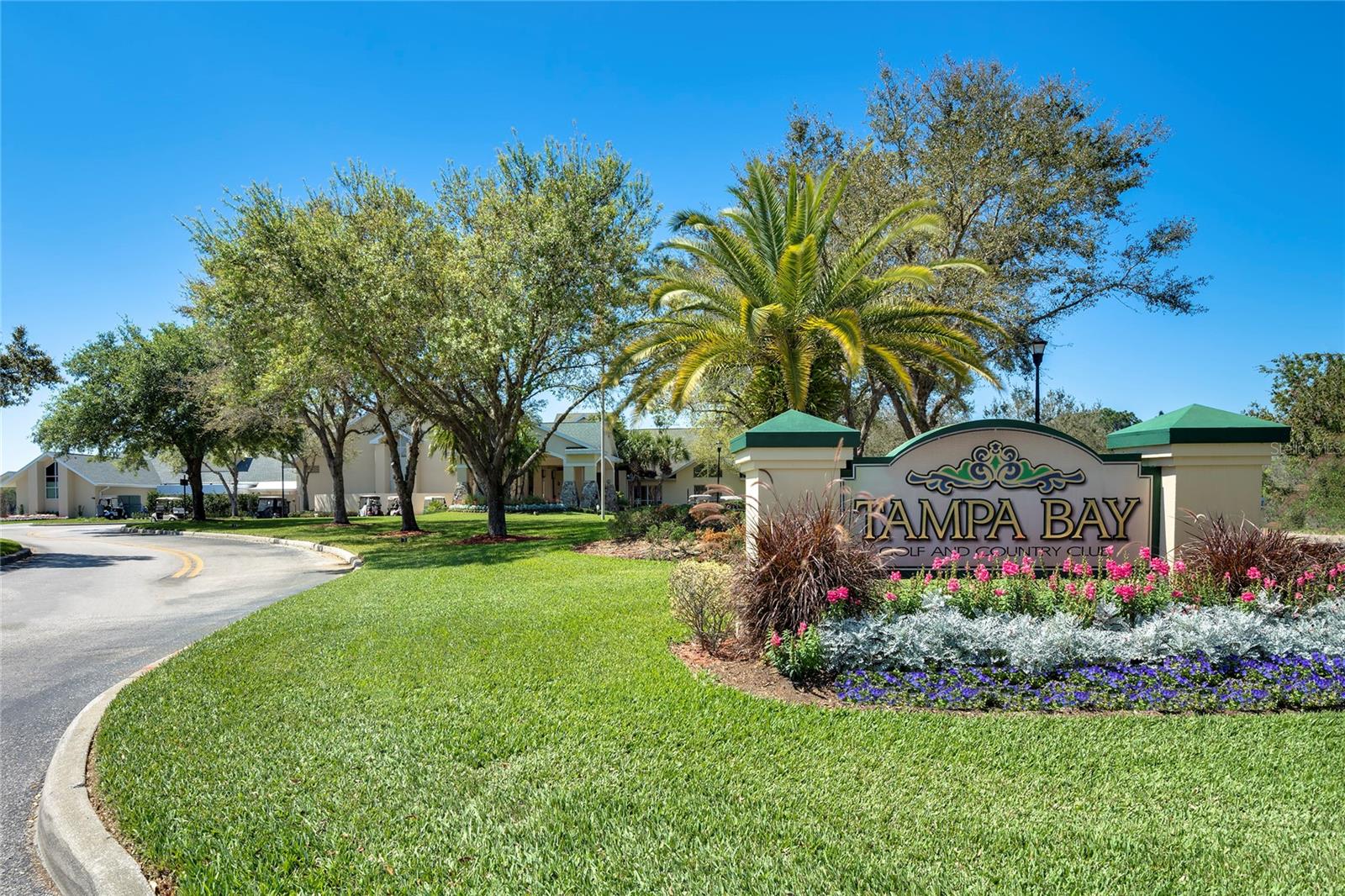 10534 COLLAR DR, SAN ANTONIO, FL, 33576