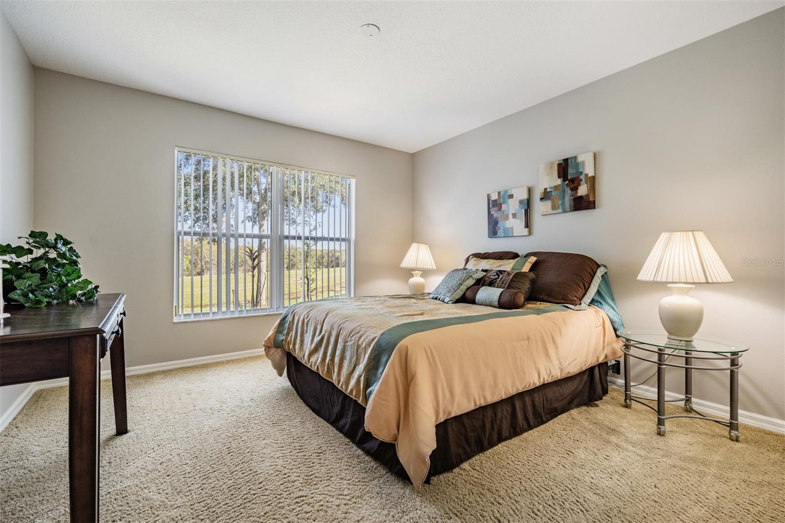 10534 COLLAR DR, SAN ANTONIO, FL, 33576