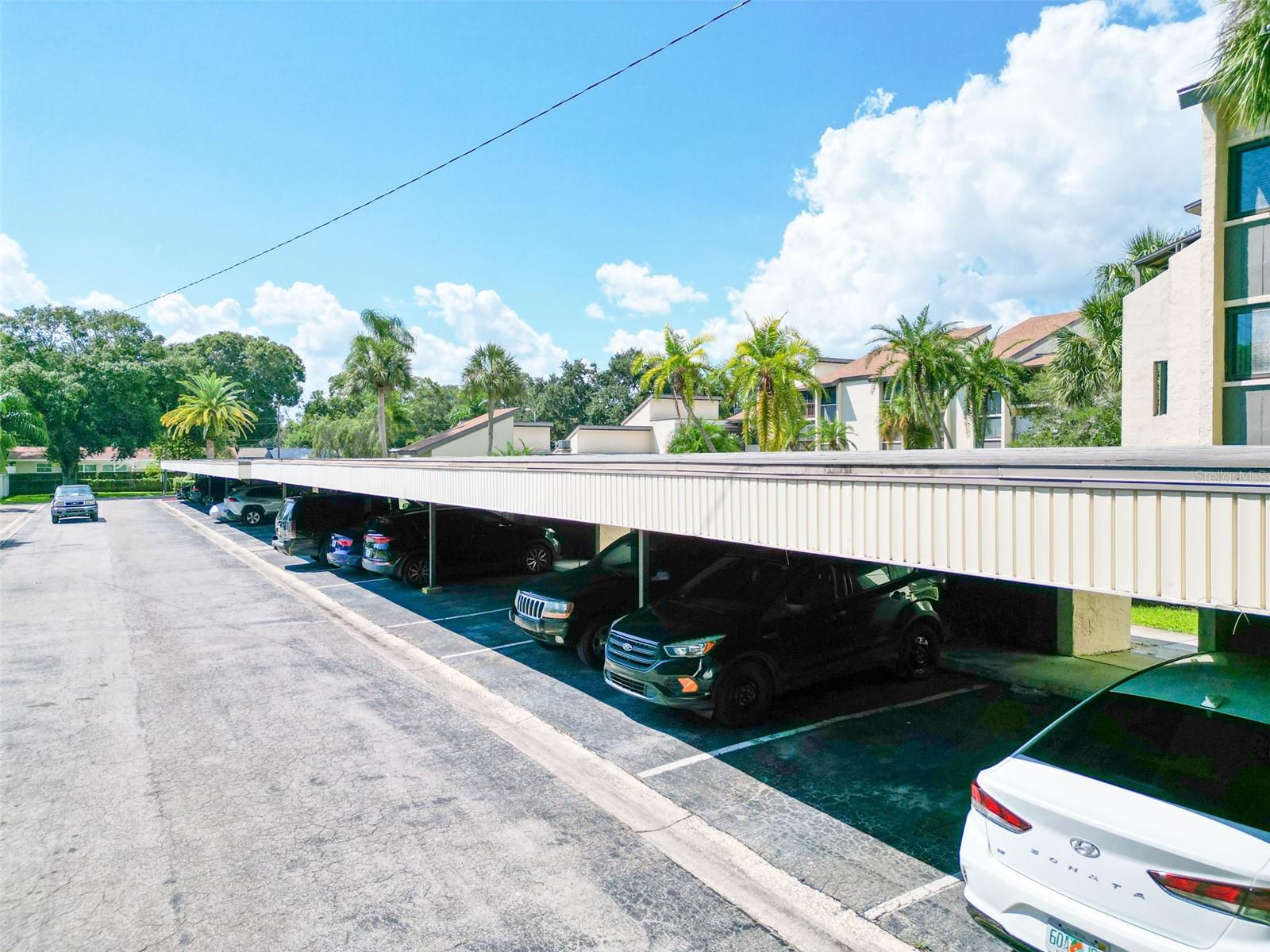 2211 BELLEAIR RD #D3, CLEARWATER, FL, 33764