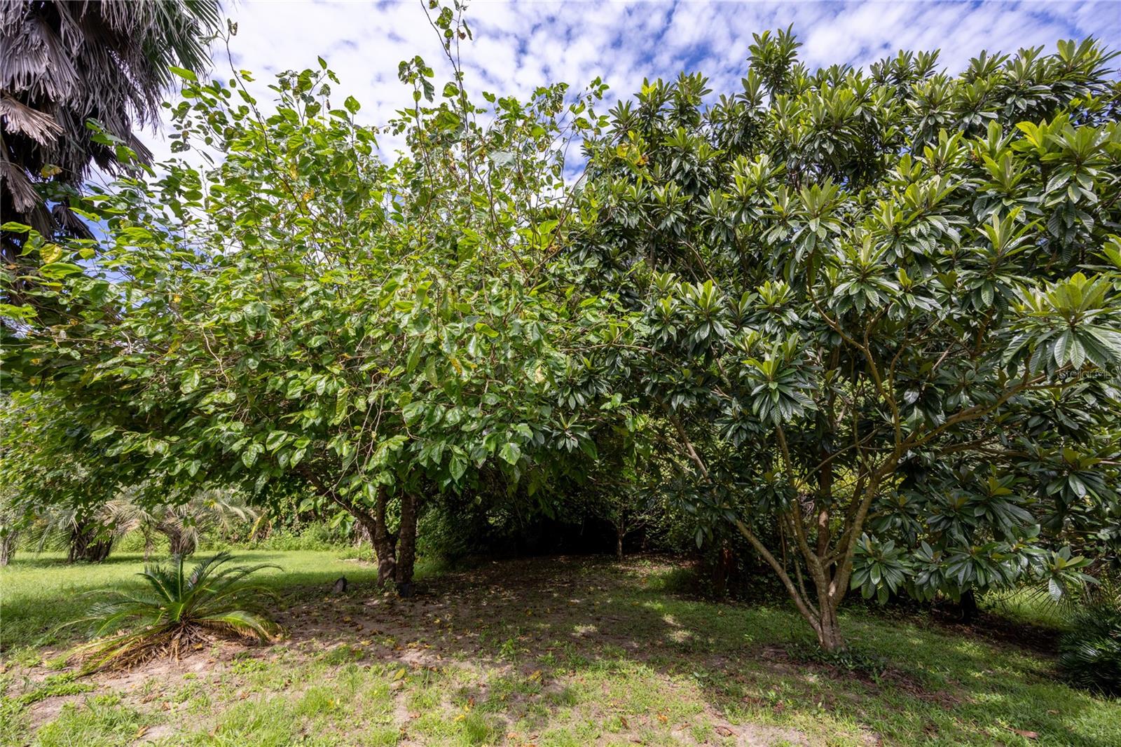 131 RILEY LAKE DR, HAWTHORNE, FL, 32640