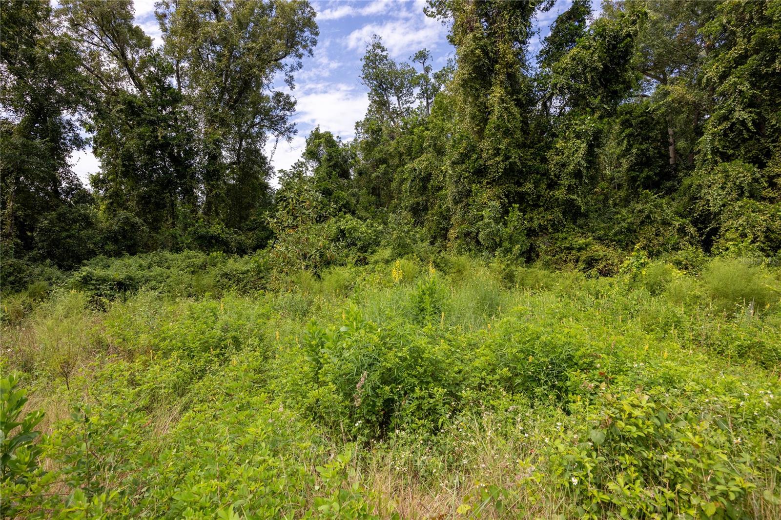 131 RILEY LAKE DR, HAWTHORNE, FL, 32640