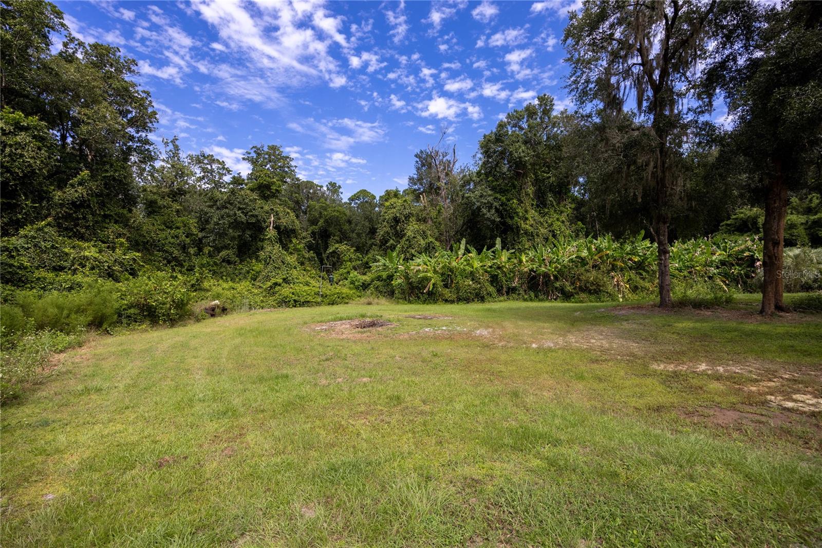 131 RILEY LAKE DR, HAWTHORNE, FL, 32640