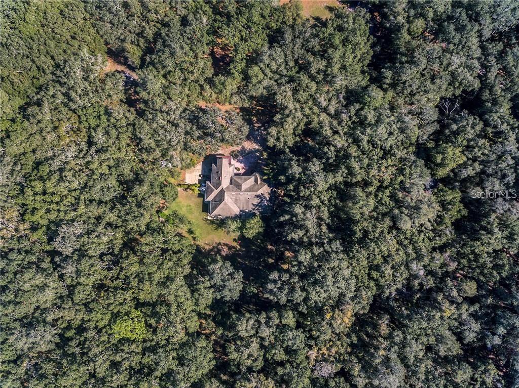 445 SE 98TH AVE, WEBSTER, FL, 33597