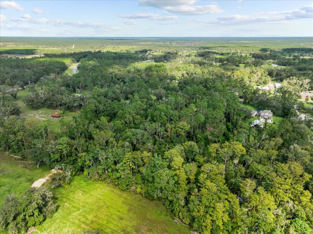 1363 NE HIGHWAY 351, CROSS CITY, FL, 32628