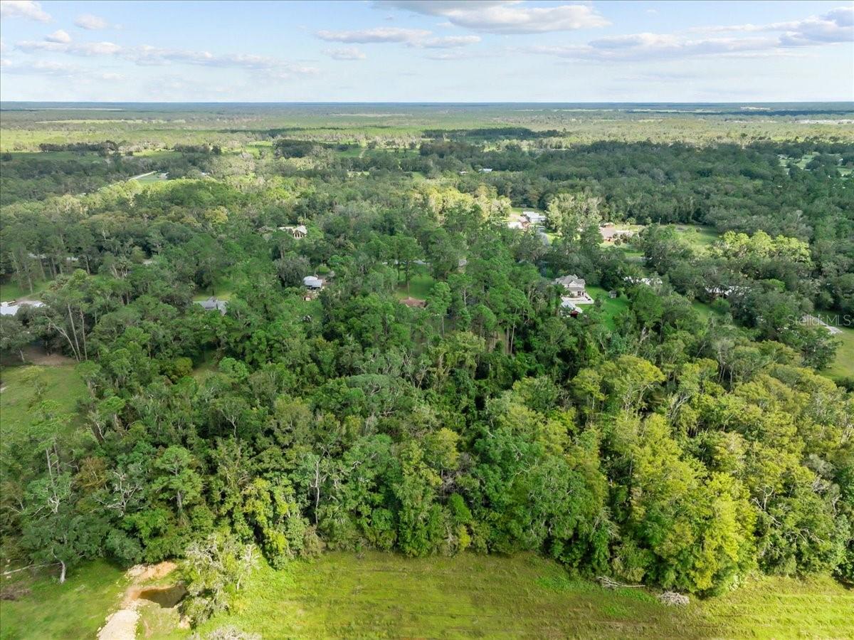 1363 NE HIGHWAY 351, CROSS CITY, FL, 32628