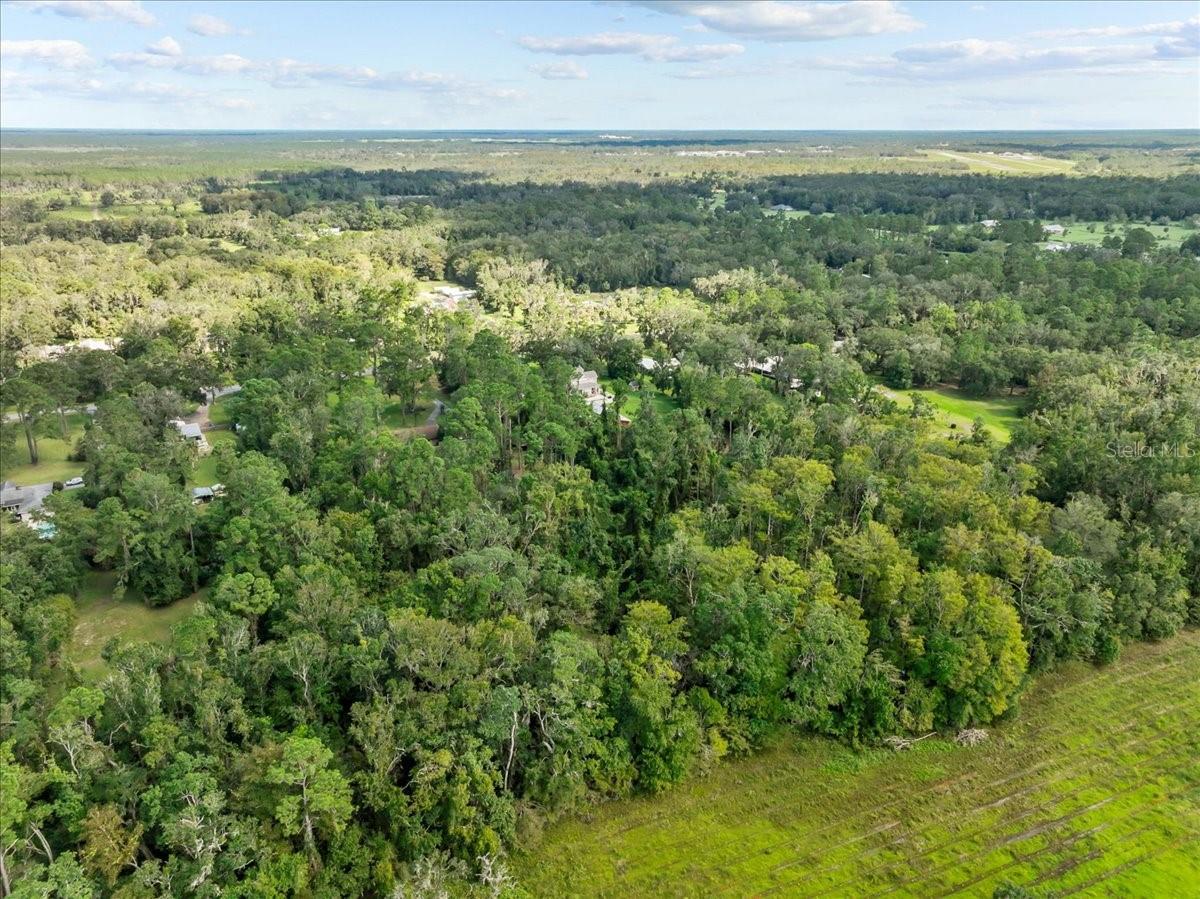 1363 NE HIGHWAY 351, CROSS CITY, FL, 32628