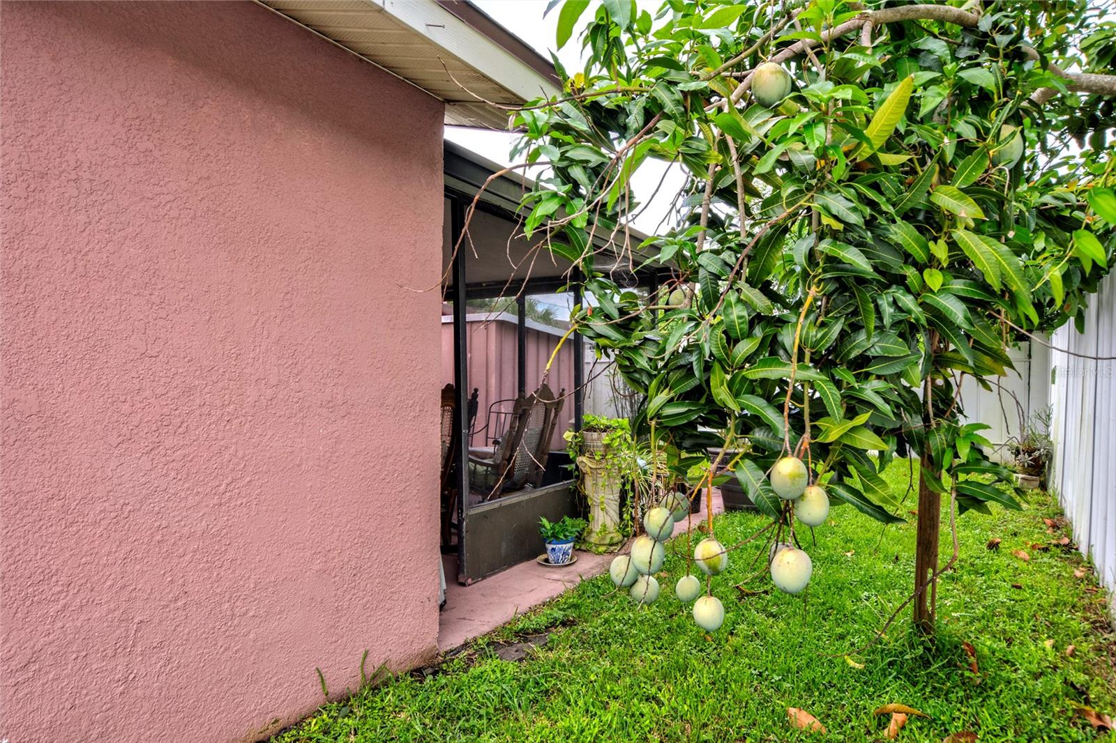 6906 N CLARK AVE, TAMPA, FL, 33614