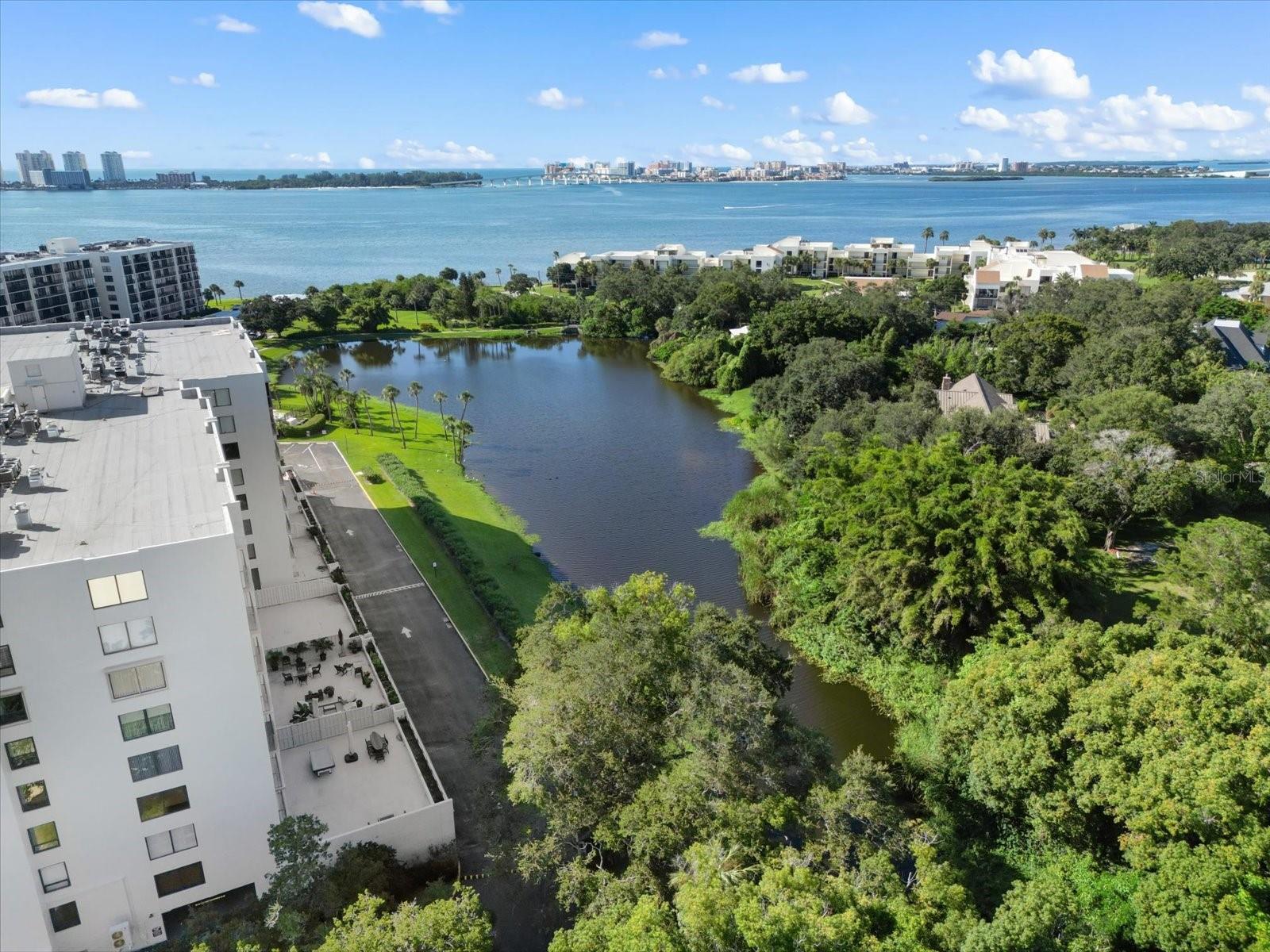 220 BELLEVIEW BLVD #702, BELLEAIR, FL, 33756