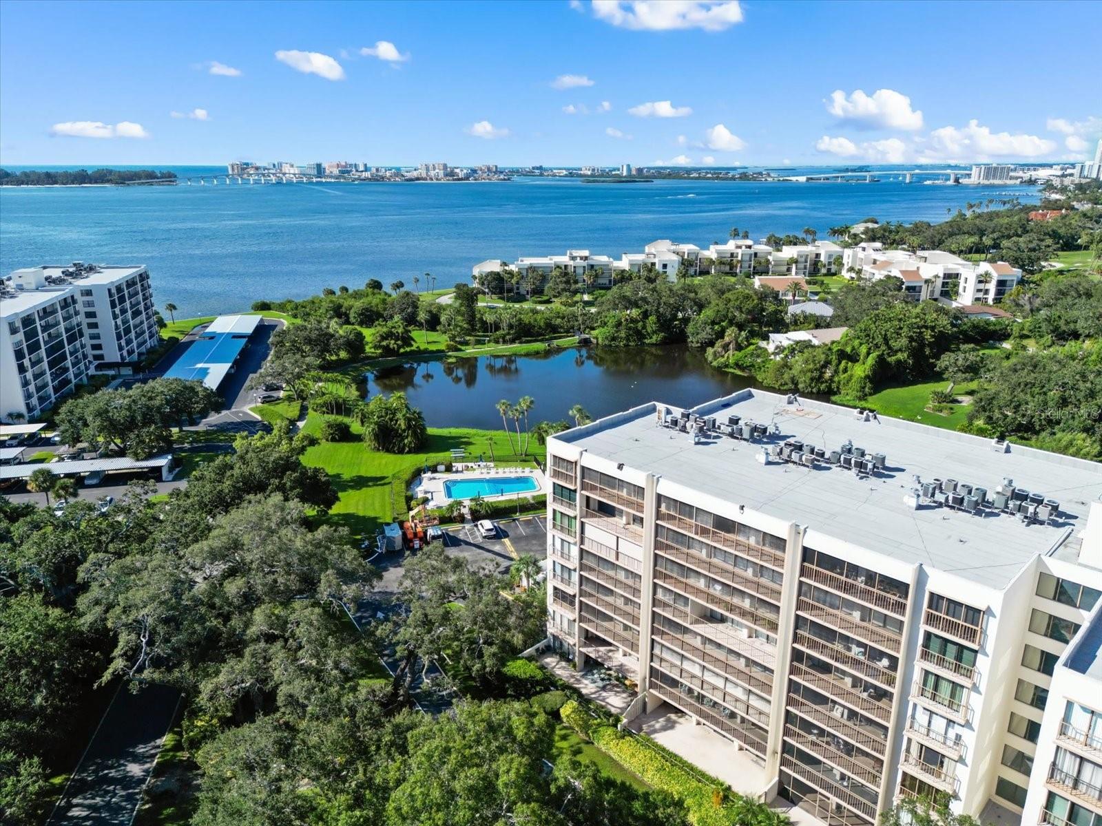220 BELLEVIEW BLVD #702, BELLEAIR, FL, 33756