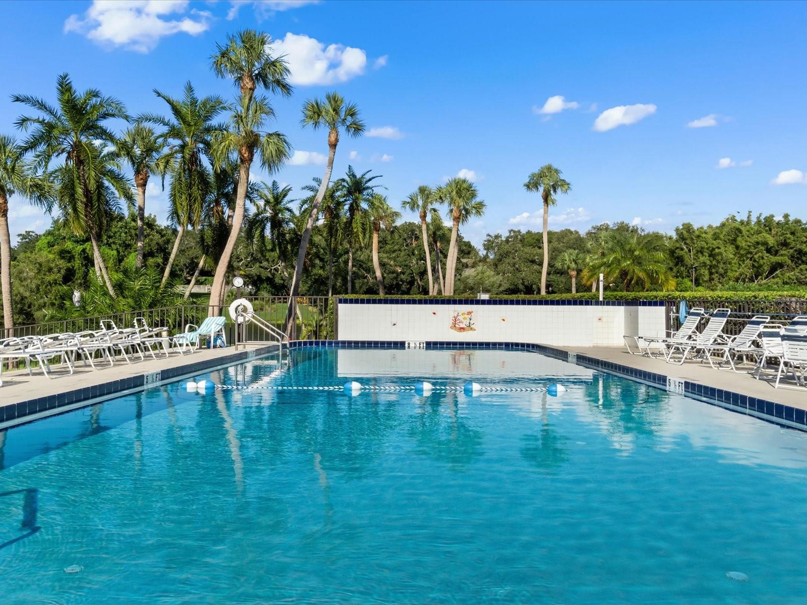220 BELLEVIEW BLVD #702, BELLEAIR, FL, 33756