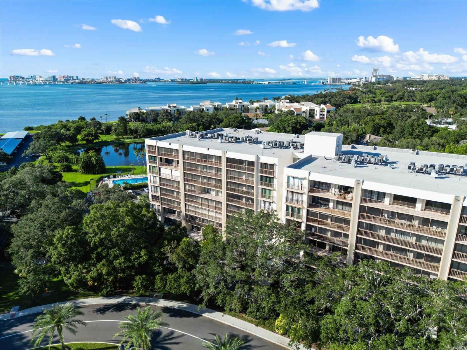 220 BELLEVIEW BLVD #702, BELLEAIR, FL, 33756