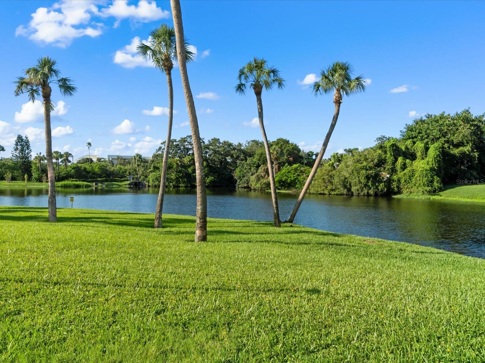 220 BELLEVIEW BLVD #702, BELLEAIR, FL, 33756