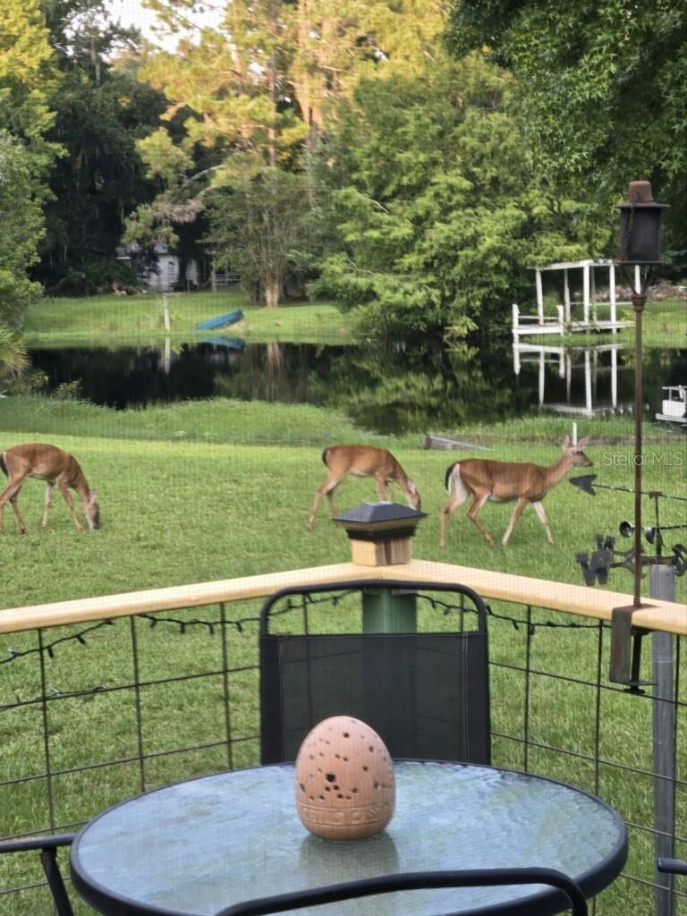 8045 S LESLIE PT, FLORAL CITY, FL, 34436