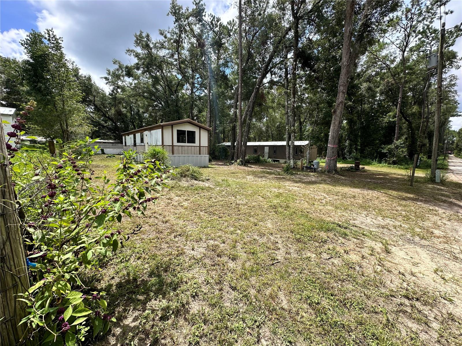 7809 SW 12TH PL, BELL, FL, 32619