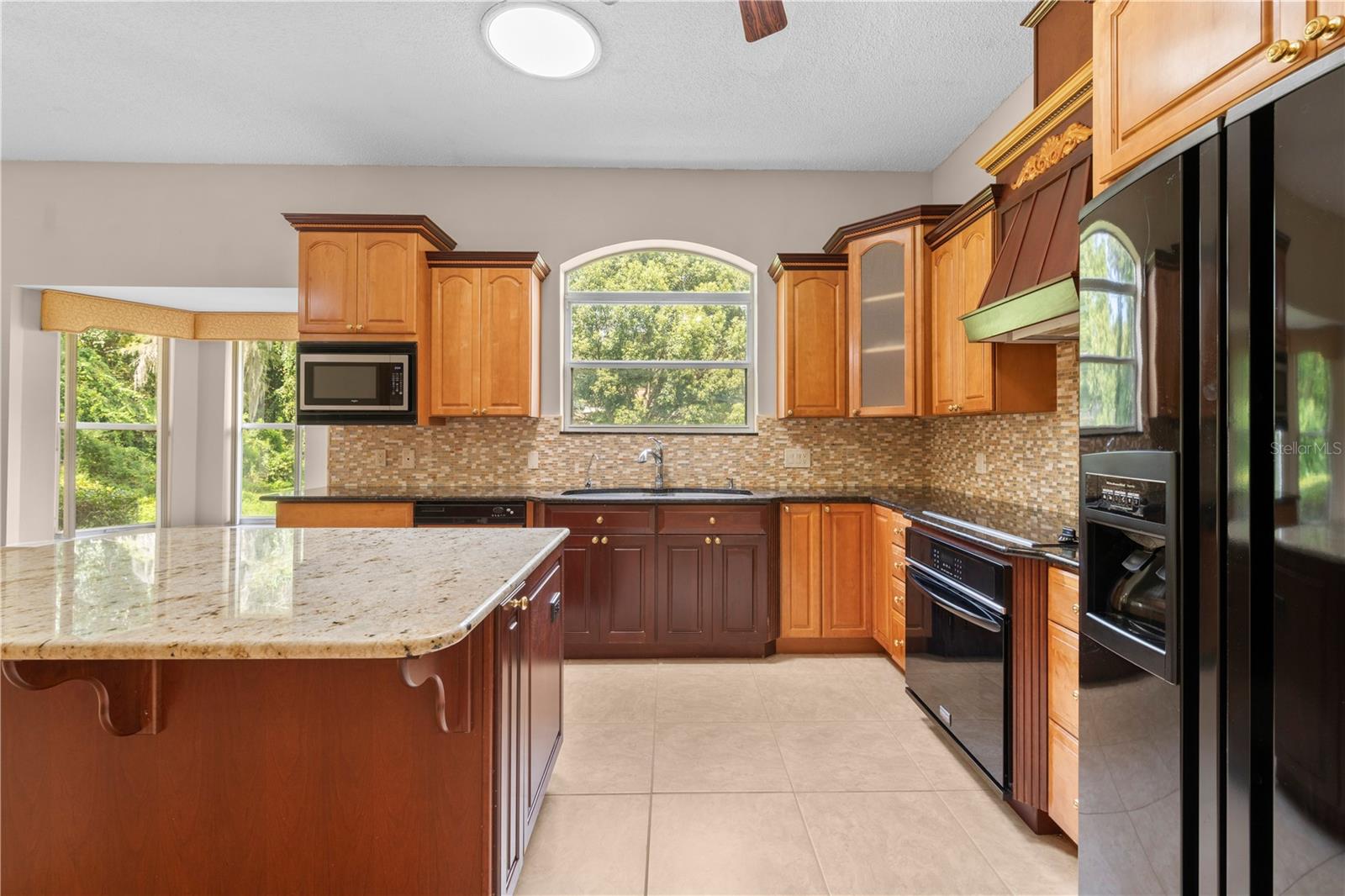 4469 LAKE IN THE WOODS DR, SPRING HILL, FL, 34607