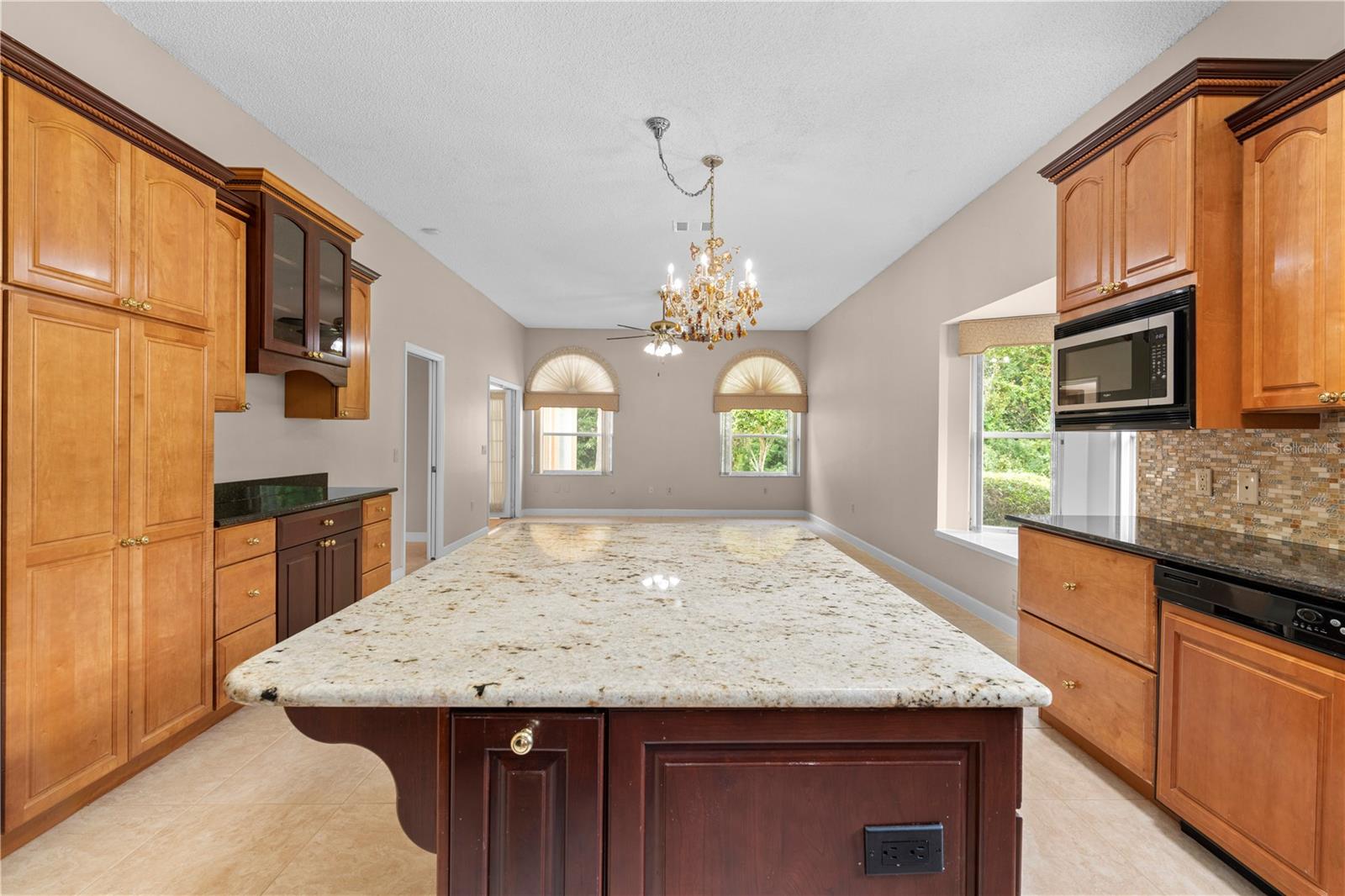 4469 LAKE IN THE WOODS DR, SPRING HILL, FL, 34607