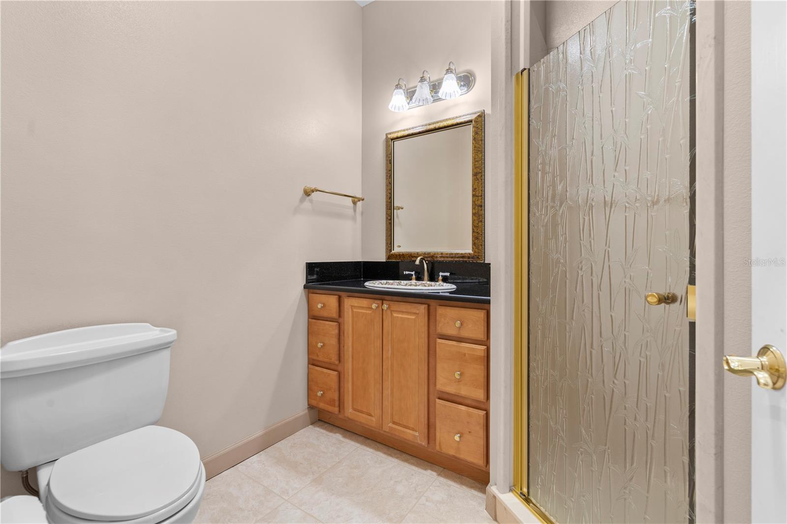 4469 LAKE IN THE WOODS DR, SPRING HILL, FL, 34607
