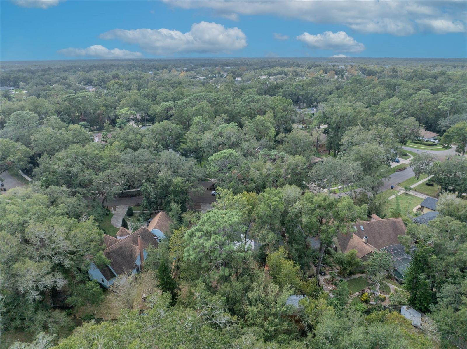 425 WHISPERING OAK LN, APOPKA, FL, 32712