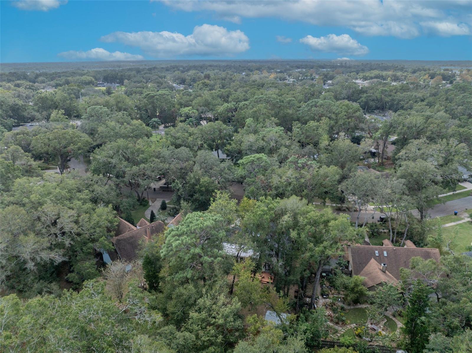425 WHISPERING OAK LN, APOPKA, FL, 32712